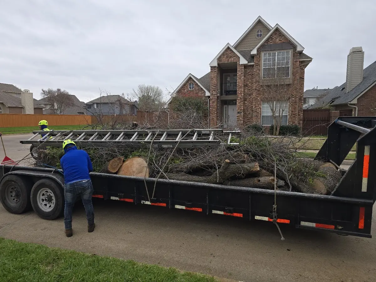Expert Lot Clearing with proper safety equipment in Jenera